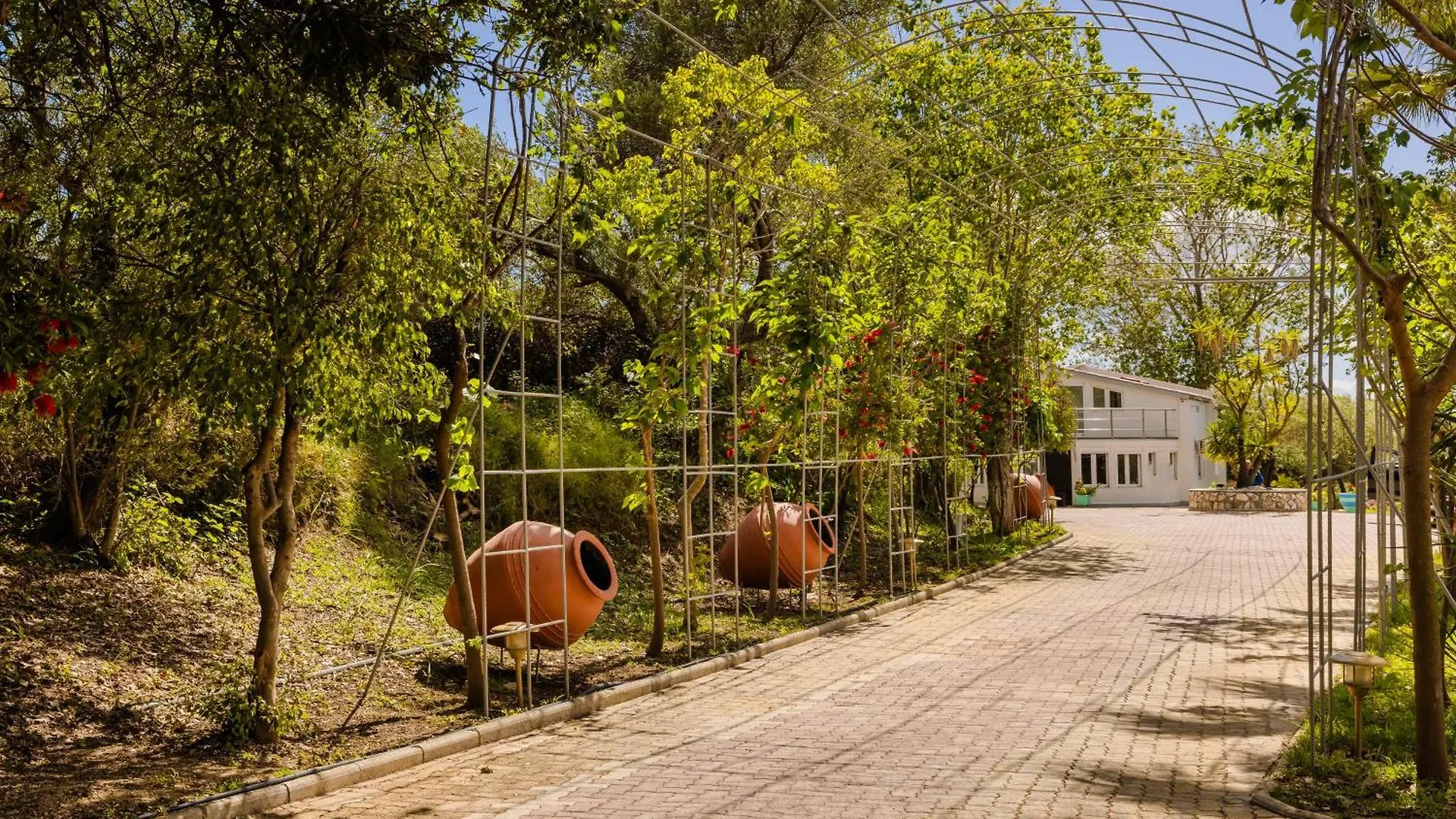 Hotel Costa Avithos Svoronata Griechenland